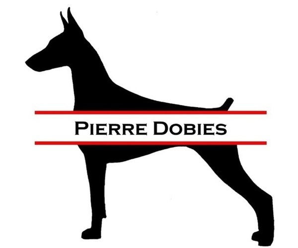 Medium Photo #1  Breeder Profile in LAKELAND, FL, USA