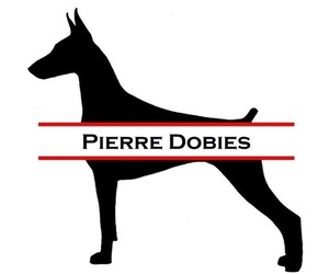 Medium Breeder Profile Photo