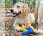 Small #11 Breeder Profile image