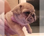 Small #38 Breeder Profile image