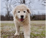 Small #15 Breeder Profile image