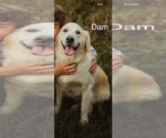 Small #3 Breeder Profile image