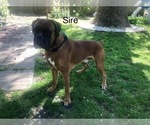 Small #2 Breeder Profile image