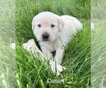 Small #10 Breeder Profile image
