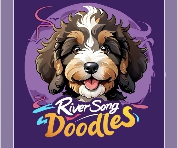 Medium Photo #1  Breeder Profile in KNOXVILLE, TN, USA