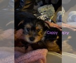 Small #16 Breeder Profile image