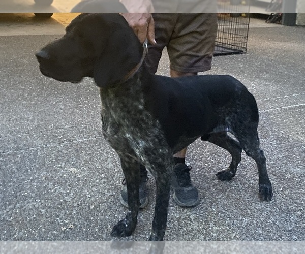 Medium Photo #19  Breeder Profile in BOONVILLE, IN, USA