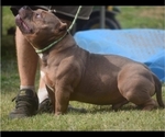 Small #8 Breeder Profile image