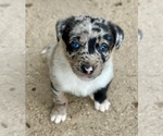 Small #23 Breeder Profile image