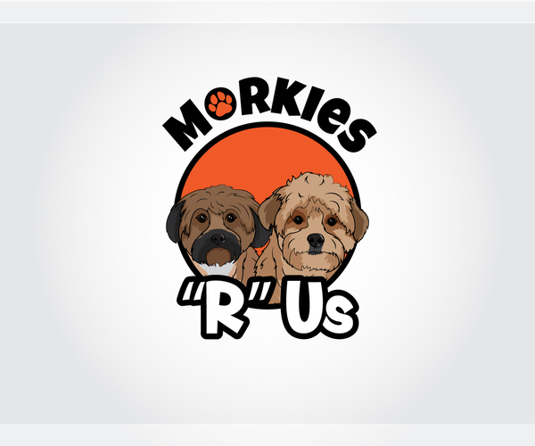 Medium Photo #1  Breeder Profile in ATL, GA, USA