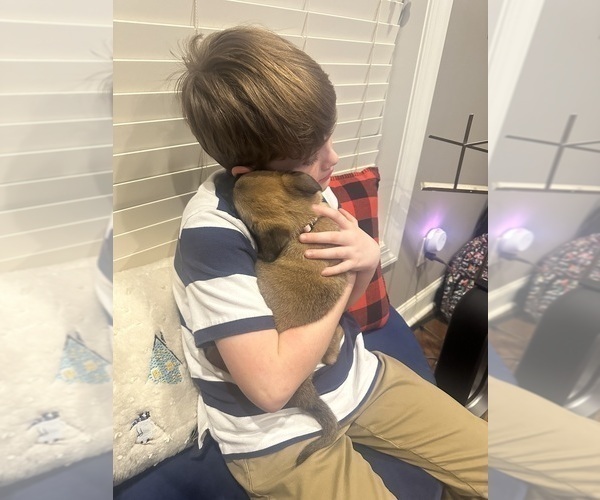 Medium Photo #12  Breeder Profile in ATHENS, AL, USA