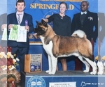 Small #11 Breeder Profile image