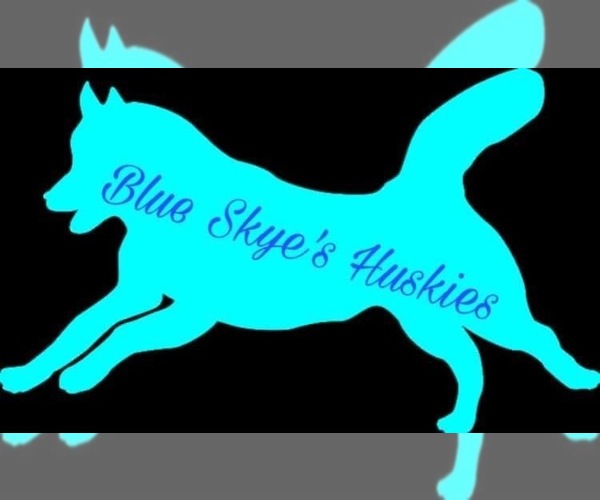 Medium Photo #1  Breeder Profile in CHARLESTON, IL, USA