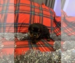 Small #5 Breeder Profile image