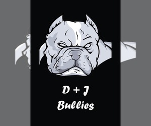 Medium Breeder Profile Photo