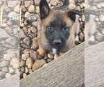 Small #11 Breeder Profile image