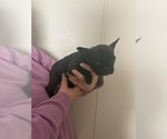 Small #3 Breeder Profile image