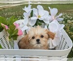 Small #1 Breeder Profile image