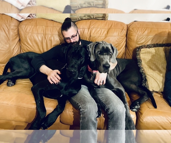 Medium Photo #1  Breeder Profile in PUTNEY, VT, USA