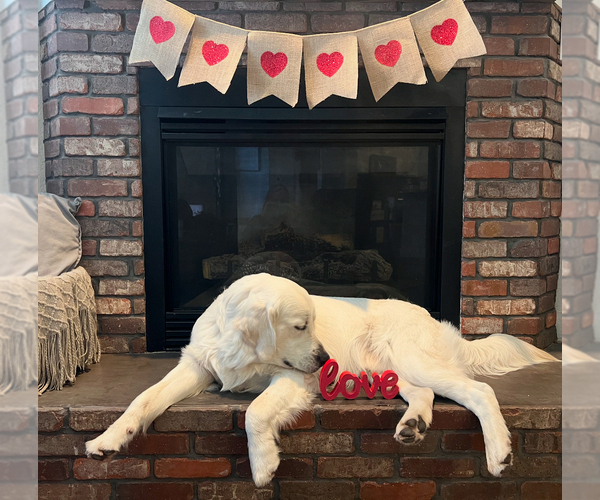 Medium Photo #1  Breeder Profile in YUMA, AZ, USA