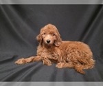 Small #5 Breeder Profile image