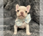 Small #22 Breeder Profile image