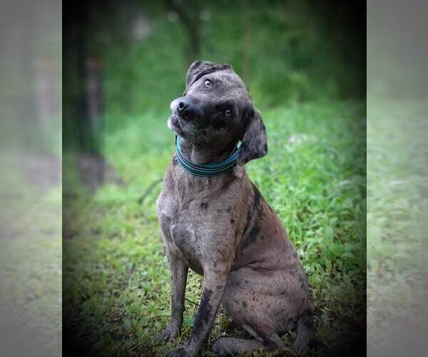 Medium Photo #22  Breeder Profile in MILLVILLE, MN, USA