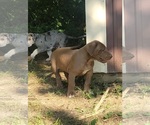 Small #10 Breeder Profile image