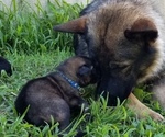 Small #27 Breeder Profile image