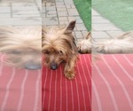 Small #337 Breeder Profile image