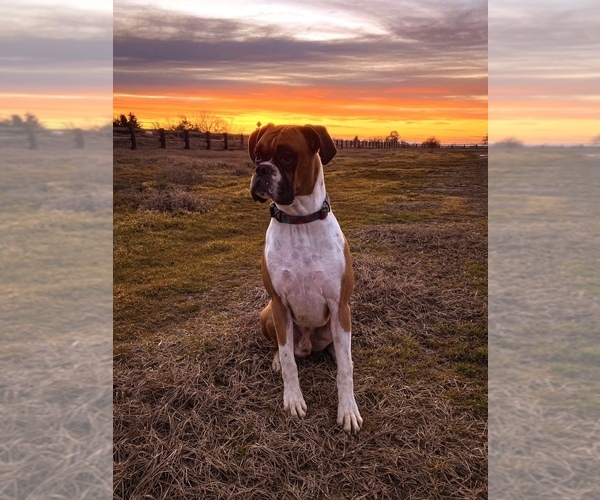 Medium Photo #11  Breeder Profile in INCHELIUM, WA, USA