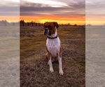 Small #10 Breeder Profile image
