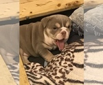 Small #7 Breeder Profile image