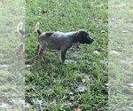 Small #2 Breeder Profile image