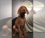 Small #7 Breeder Profile image