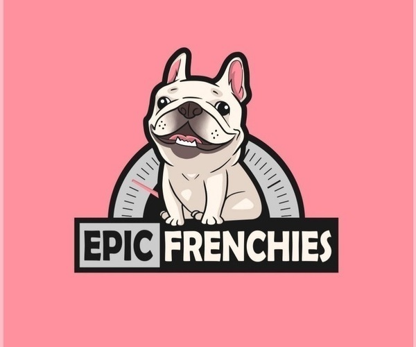 Medium Photo #1  Breeder Profile in NORTH PORT, FL, USA