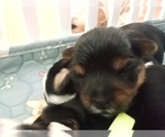Small #15 Breeder Profile image