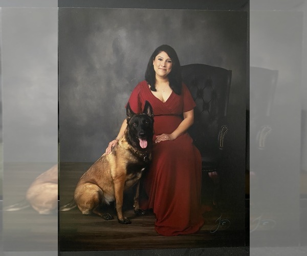 Medium Photo #1  Breeder Profile in LOS ANGELES, CA, USA