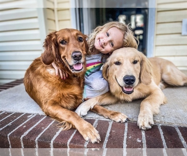 Medium Photo #1  Breeder Profile in FREDERICKSBURG, VA, USA