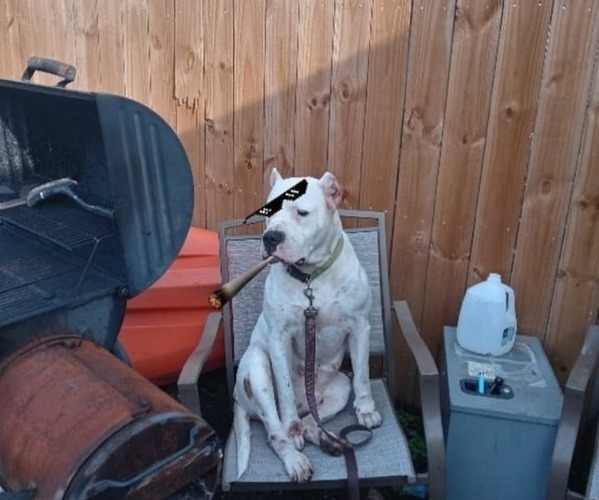 Medium Photo #1  Breeder Profile in CANTON, TX, USA