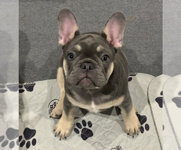 Medium Photo #7  Breeder Profile in KALISPELL, MT, USA