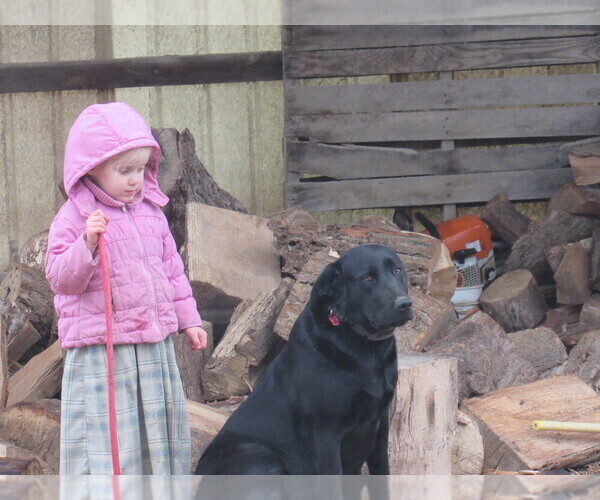 Medium Photo #11  Breeder Profile in LOUDONVILLE, OH, USA