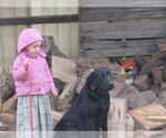 Small #10 Breeder Profile image