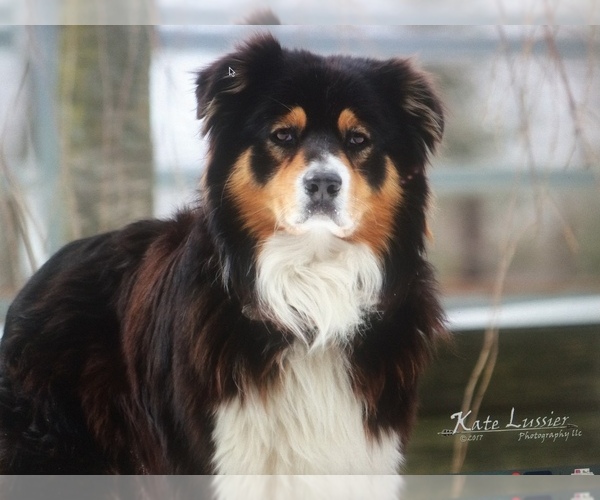 Medium Photo #19  Breeder Profile in BETHANY, CT, USA