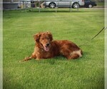 Small #7 Breeder Profile image