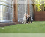 Small #2 Breeder Profile image