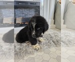 Small #24 Breeder Profile image