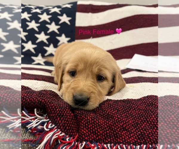 Medium Photo #37  Breeder Profile in SWEETWATER, TN, USA
