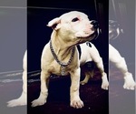 Small #7 Breeder Profile image