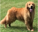 Small breeder photo